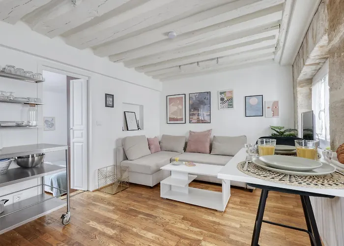 Warm & Cozy T2 In The Heart Of Paris 02